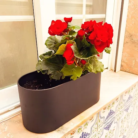 Apartman Casa Junto Al Mar *